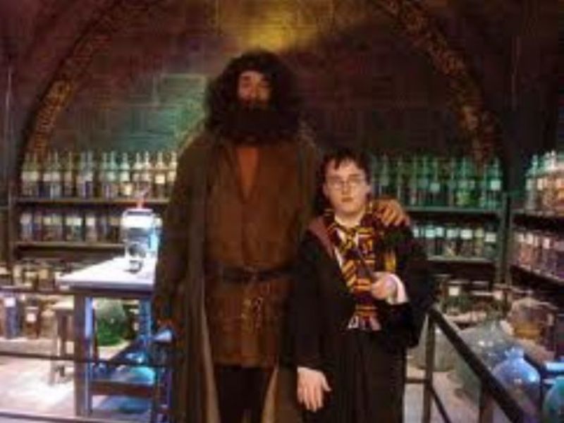 hagrid lookalike